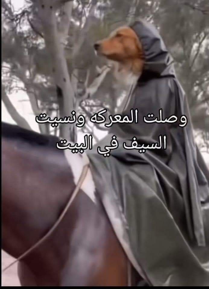 انا لو كنت عايش فالعصور الوسطى