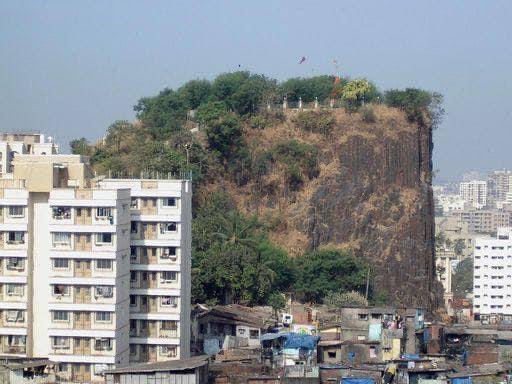 FlatEarthZone's tweet photo. Huge old world tree stump, in modern day Mumbai. https://t.co/8yRztYtxno