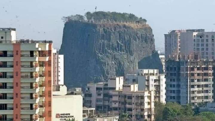 FlatEarthZone's tweet photo. Huge old world tree stump, in modern day Mumbai. https://t.co/8yRztYtxno