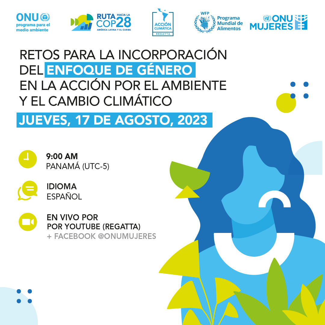 ONU Mujeres tweet media