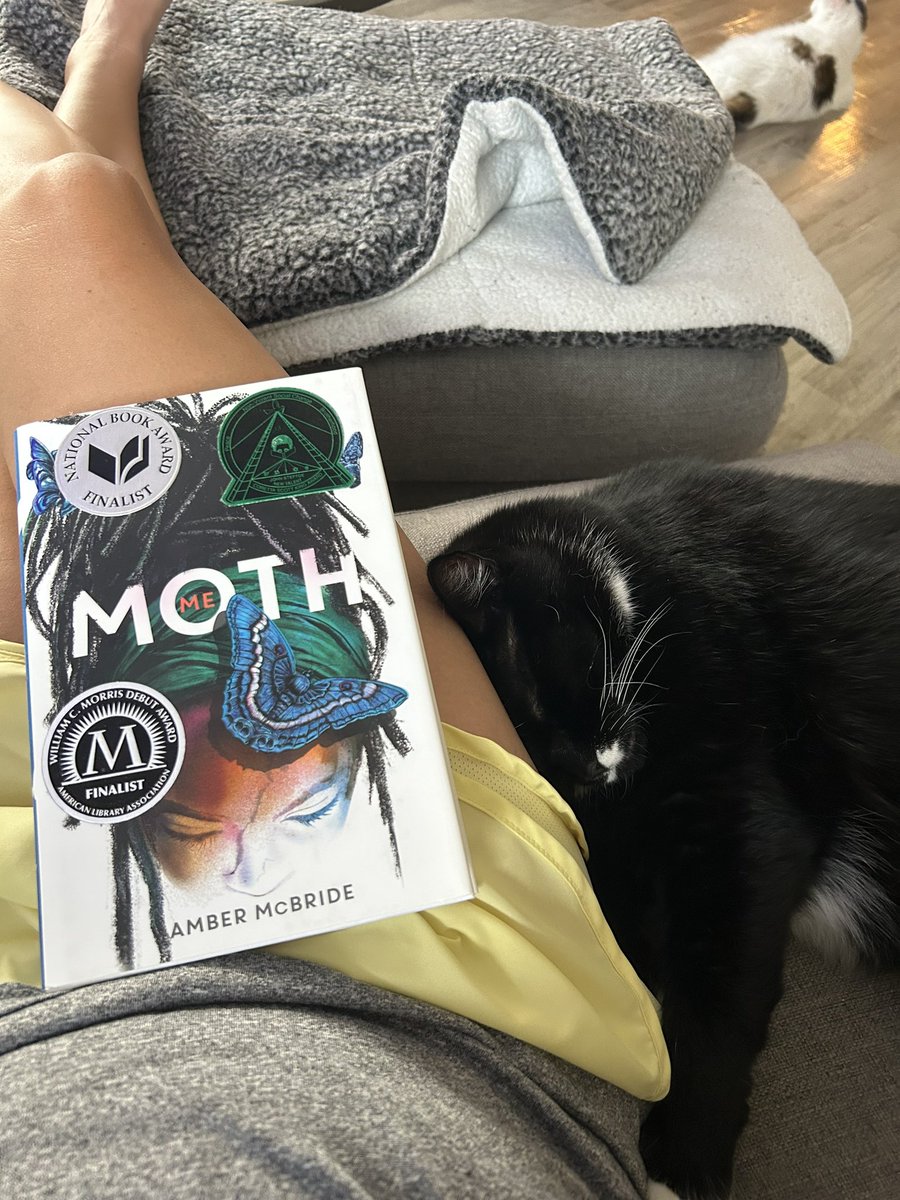 #catsandbooks