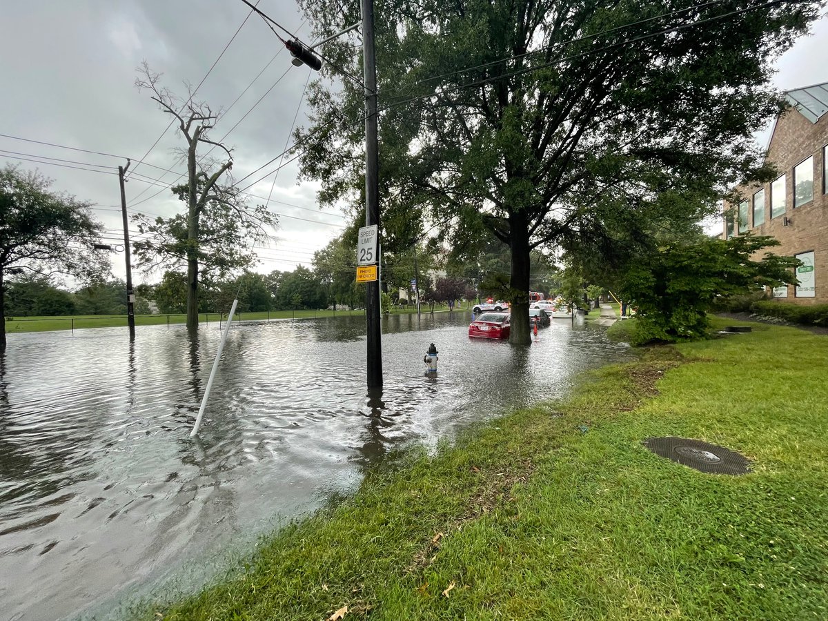 Steisi Mileiva tweet media