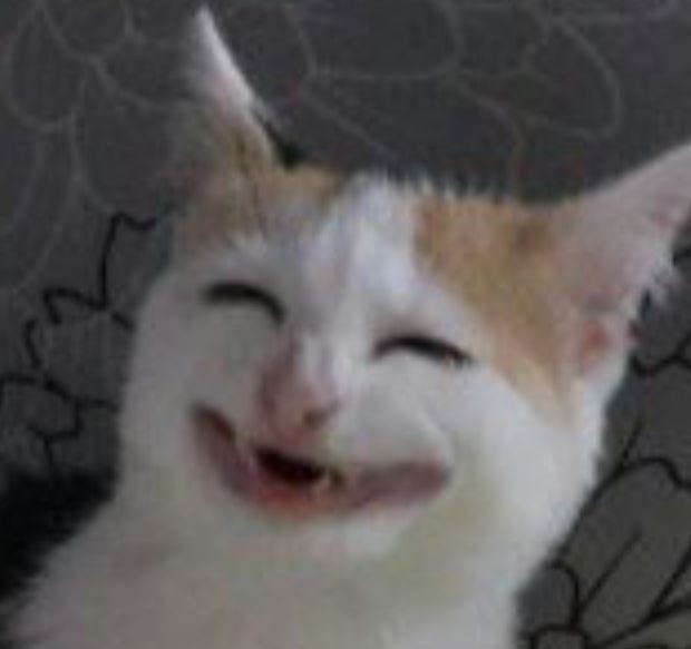 <a href="/digitalcerebro/">Cerebro Digital</a> -¡¿Y por qué te echaron del trabajo?!
Pues...