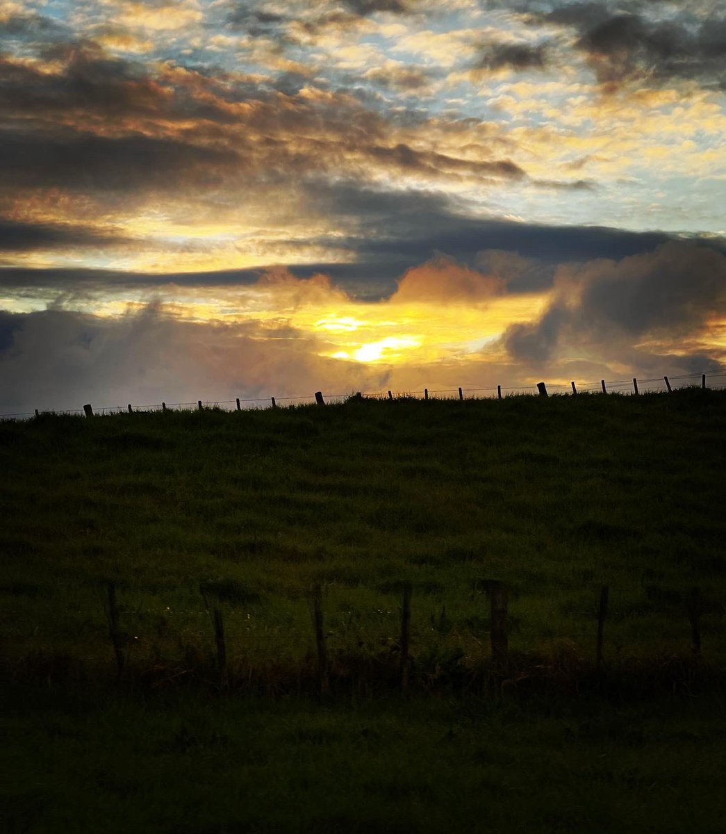 followspen's tweet image. Driving home be like … #daysend #drivehome #workdone #NewZealand 🇳🇿