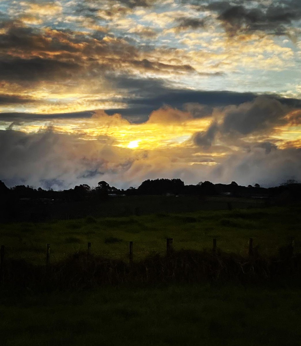 followspen's tweet image. Driving home be like … #daysend #drivehome #workdone #NewZealand 🇳🇿