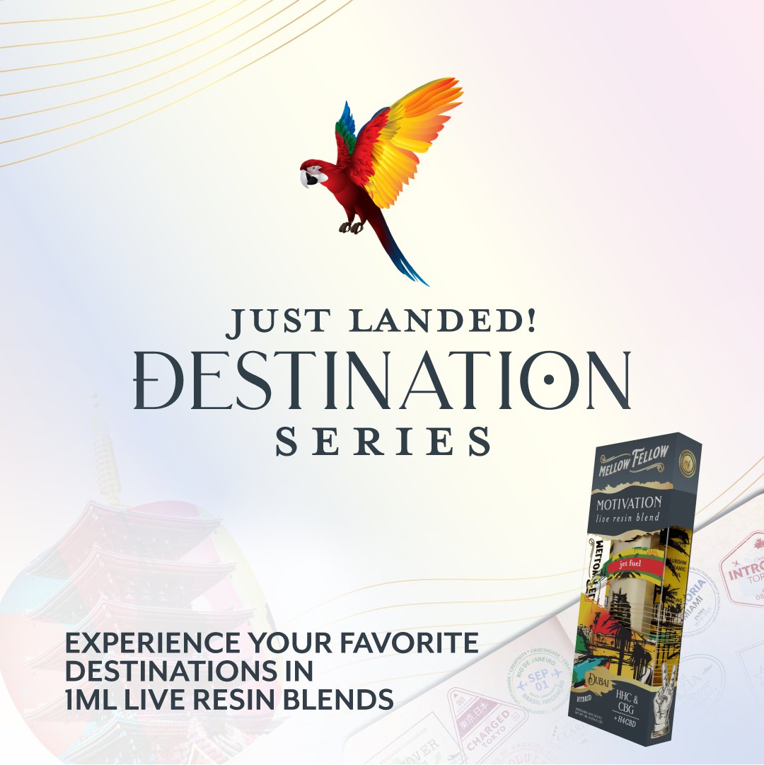 Introducing Mellow Fellow's new Destination Blends! This 1mL series transforms our Artist Blends with a fresh twist. Immerse in flavors and feelings of amazing places while getting the same signature Mellow Fellow quality and purity. 🌿🌟 bit.ly/459xqBy