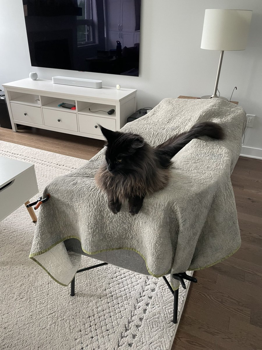 Christina Cella tweet media