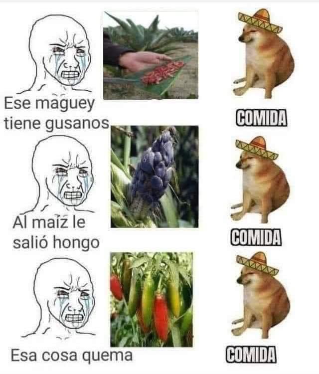 EnsedeCiencia's tweet photo. https://t.co/O2maCUyCar
