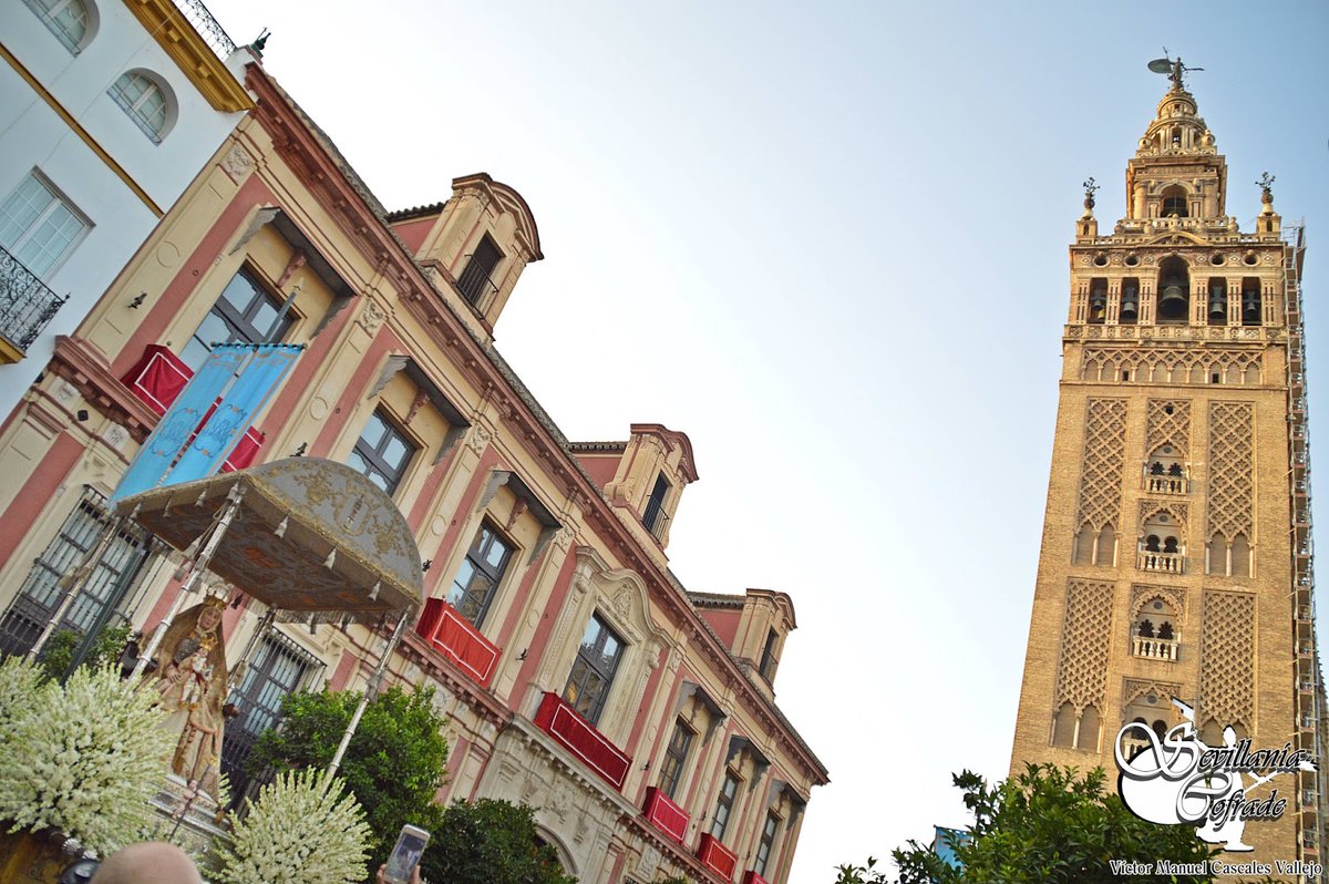 Hoy, Procesión de la Virgen de los Reyes  #TDSCofrade 

➡️ sevillaniacofrade.com/2023/08/hoy-pr…