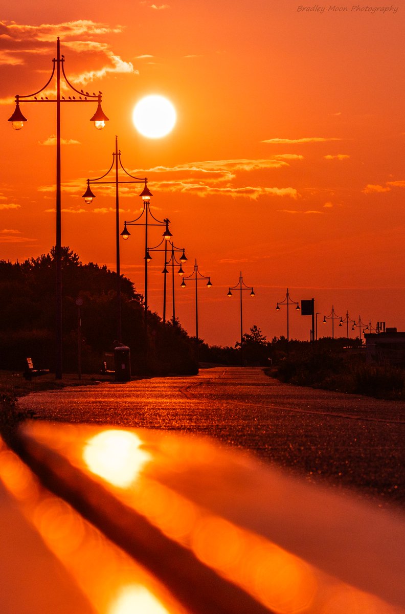 Have you seen my newest 1/1 on <a href="/foundation/">Foundation 🌐</a> 👇

Glowing Promenade ☀️

Take a stroll down the Glowing Promenade and follow the golden path to success. It's time to think positively and expand your vision.

0.08 $ETH Reserve

Link below 👇