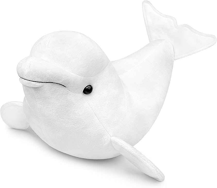 Loving_Orca's tweet photo. What’s he thinking about? https://t.co/sgXBIvuViA
