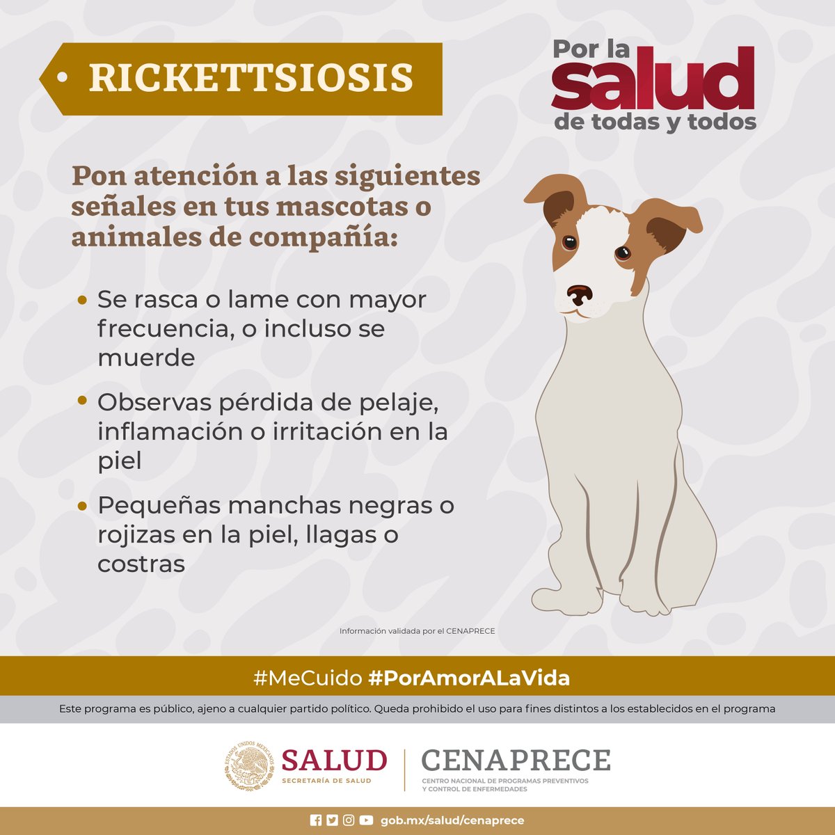 SSalud_mx tweet picture