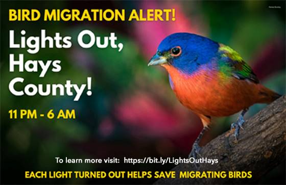 Ready to think about fall?  #LightsOutHaysCounty #LightsOutTexas Fall bird migration runs August 15 to November 30.  Turn off non-essential lights from 11 p.m. to 6 a.m.  Or, after dusk all year.#ProtectTheBirds #ProtectWildlife #ProtectHumanHealth <a href="/AudubonTX/">Audubon Texas</a> <a href="/TexanbyNature/">Texan by Nature</a>