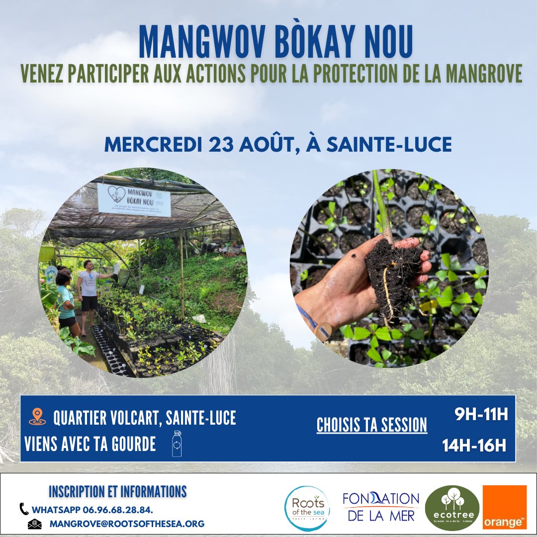 rootsofthesea's tweet photo. Visiter notre pépinière et nous accompagner dans nos actions pour faire pousser nos
mangroves de demain, ça vous dit ? Rendez-vous le 23 août ! 🌱

👇 Inscrivez-vous vite https://t.co/drWnjgQpWt