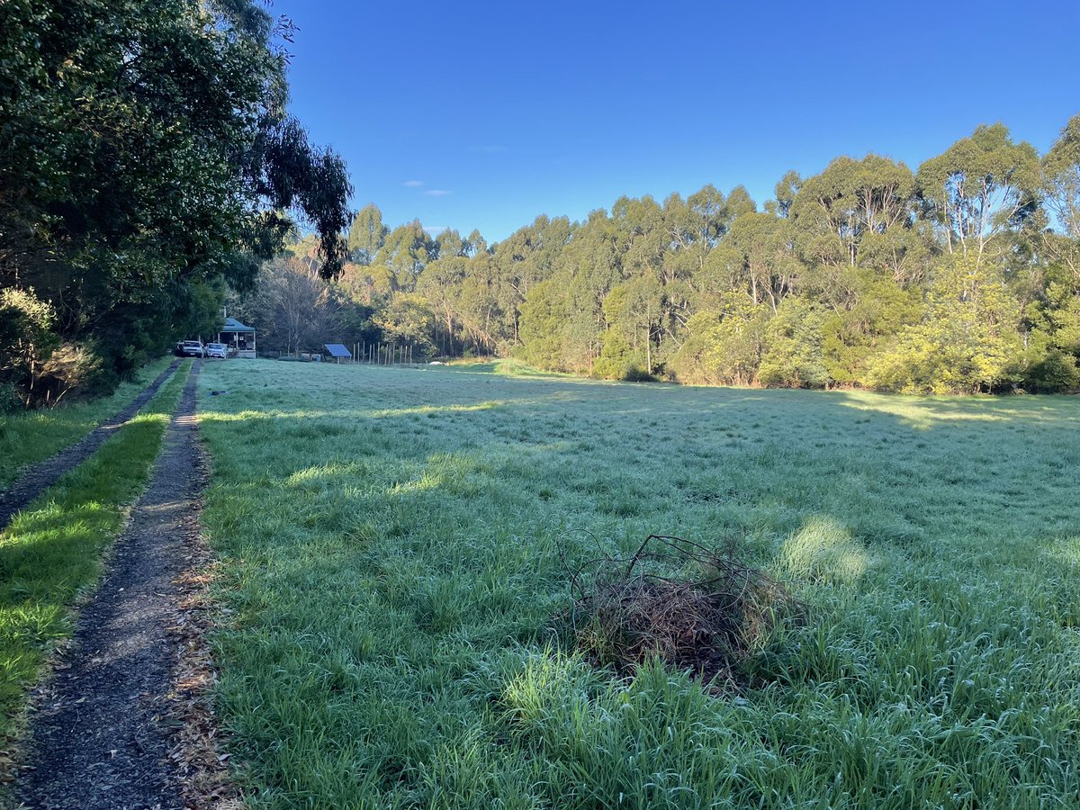 malcolm brown tweet media