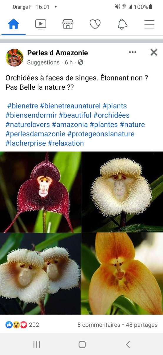 PETITCatherin18's tweet image. Toujours fascinant ,  inspirant

Les ailes Delta creuses pour alléger 
#stabiliser le vol n'ont elles pas été 
inspirées des rémiges de l' A i g l e  ?