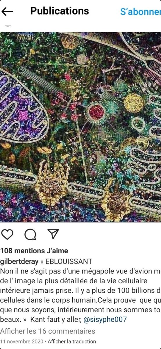 PETITCatherin18's tweet image. Toujours fascinant ,  inspirant

Les ailes Delta creuses pour alléger 
#stabiliser le vol n'ont elles pas été 
inspirées des rémiges de l' A i g l e  ?