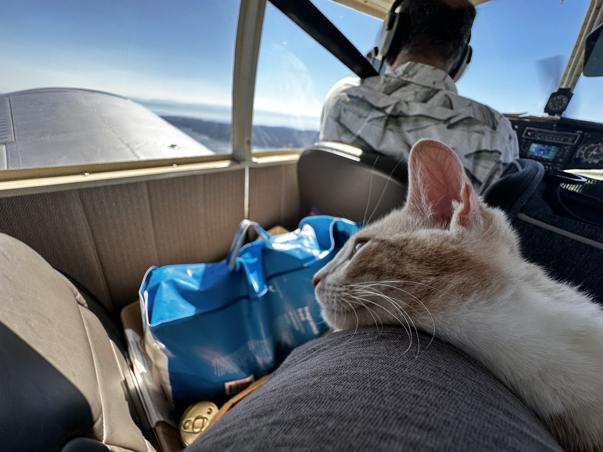 Dr. Karly E. Cohen tweet media