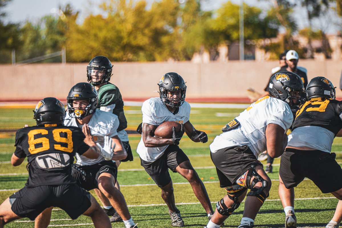 Cole Topham tweet media