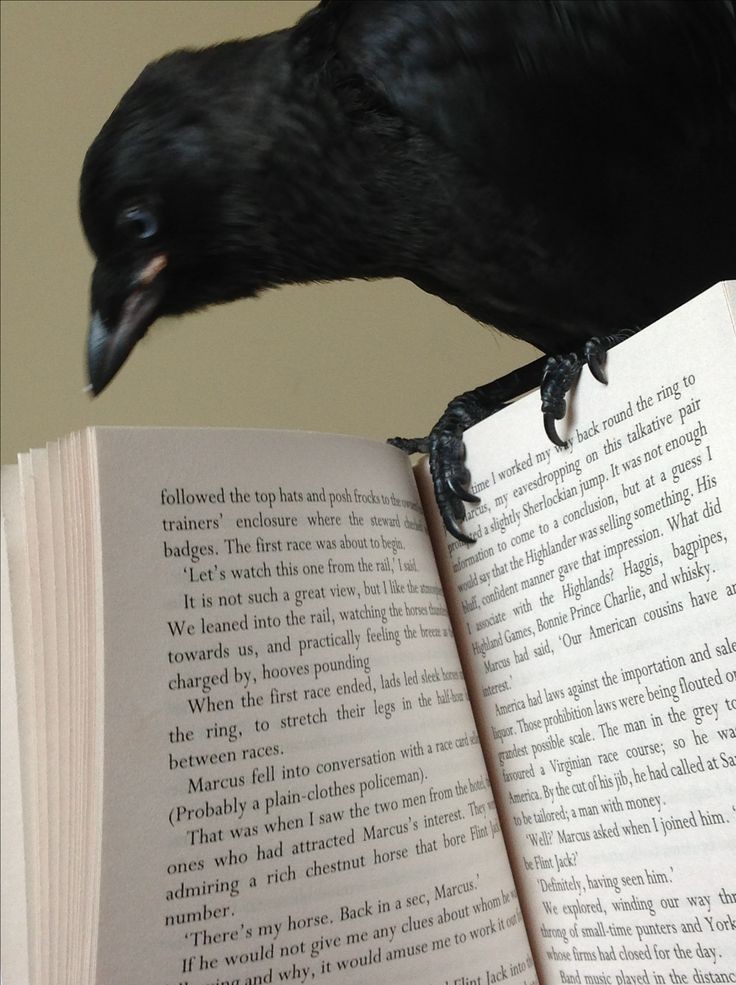 ִֶָ (@sietediscos) on Twitter photo 