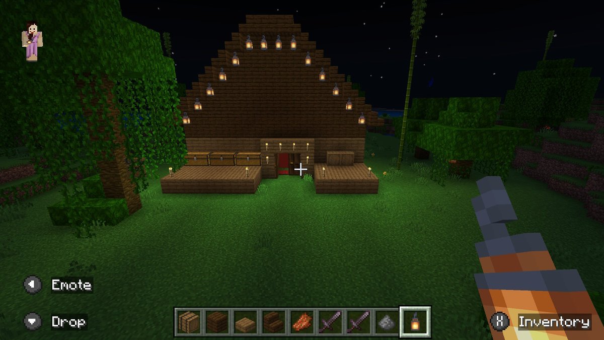 #Minecraft #NintendoSwitch