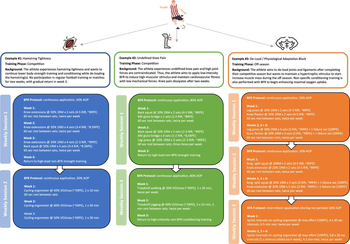 Charlie Davids (@charliejdavids) on Twitter photo My latest pub in <a href="/SportsMedicineJ/">Sports Medicine</a> 🚨
A narrative review discussing proposed mechanisms and the many avenues it may be used in athletes to optimise performance and manage injury
Thanks to all involved <a href="/LlionARoberts/">Llion Roberts</a>, <a href="/TrulsRaastad/">Truls Raastad</a>, <a href="/ThomasBjornsen/">Thomas Bjørnsen</a>, <a href="/jefcoombes/">Jeff Coombes</a>, & Jonathan Peake My latest pub in <a href="/SportsMedicineJ/">Sports Medicine</a> 🚨
A narrative review discussing proposed mechanisms and the many avenues it may be used in athletes to optimise performance and manage injury
Thanks to all involved <a href="/LlionARoberts/">Llion Roberts</a>, <a href="/TrulsRaastad/">Truls Raastad</a>, <a href="/ThomasBjornsen/">Thomas Bjørnsen</a>, <a href="/jefcoombes/">Jeff Coombes</a>, & Jonathan Peake