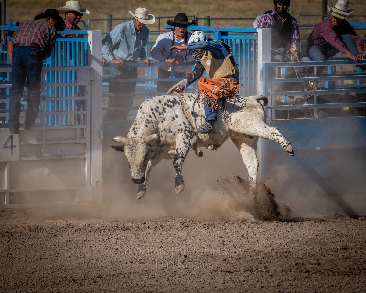 Dan_Kinghorn77's tweet image. I sure hope you like #Rodeo!  I&apos;m just getting started from the weekend rodeo at #FortHall #Idaho