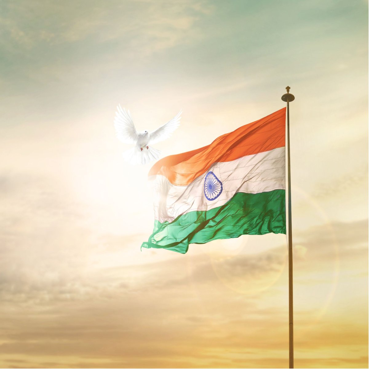 Celebrating Global Excellence, Freedom, and Innovation!

Happy Independence Day to all 🌐🙌

#IndependenceDay #ITExcellence #GlobalInnovation #UnityInDiversity #A3logicsIndia #ProudIndian #ConnectedWorld