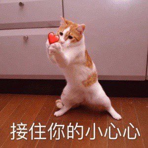 你不用太完美也不用非常勇敢
因為我也會想辦法接住你的
- https://t.co/iVlpl7wuYP