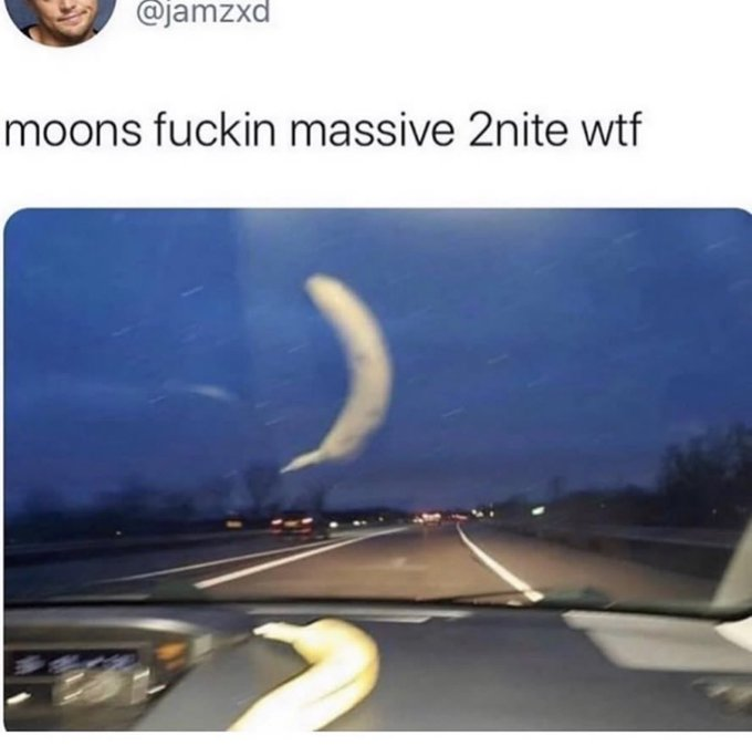 interesting_aIl's tweet image. 