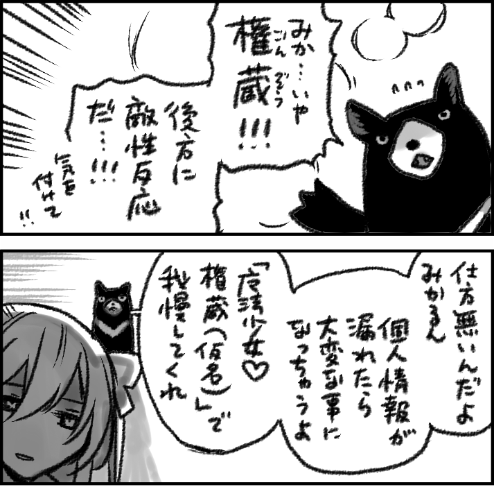 魔法少女もの(本人の安全を重視し装備を最大限厳重にしたタイプ)