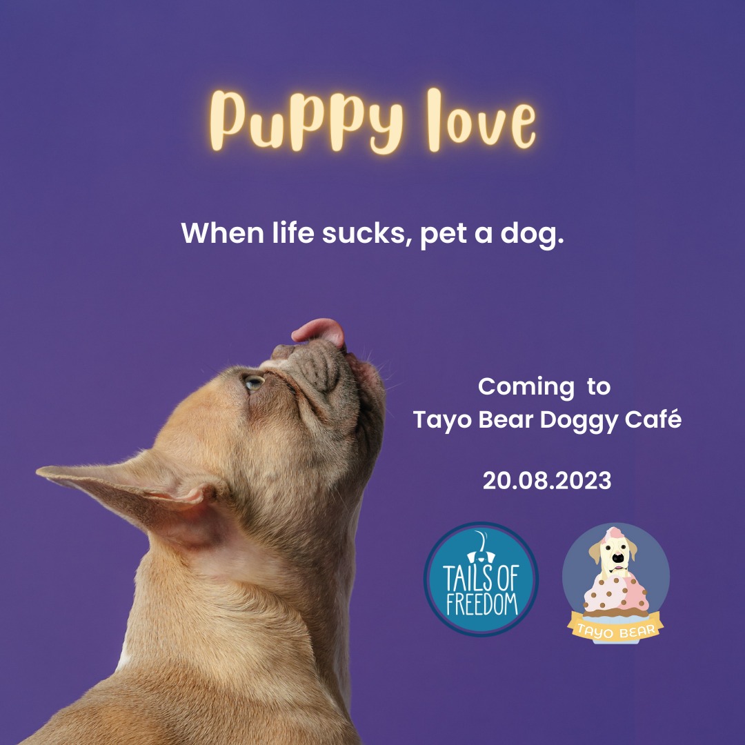 When life sucks, pet a dog. 

We're excited to announce our next event in partnership with Tayo Bear! Come join us, meet some of our rescues and learn more about us ☺️

More details will be shared soon. In the meantime, save the date! 🐾

#Rescue #Adopt #Fundraiser #SriLanka