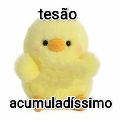 memes estranhos tweet media