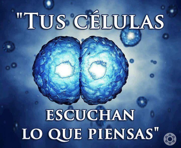 elzorrotacneno's tweet photo. Piensa siempre en sanidad.
Que estas joven, estas fuerte, estas potente, eres inteligente, eres guapo/a, eres atractivo/a, eres capaz.
Agradécele a tus células por el maravillosos trabajo que hacen, bendice tus órganos, cuida tu cuerpo, dale masajes, buena alimentación ejercítalo.