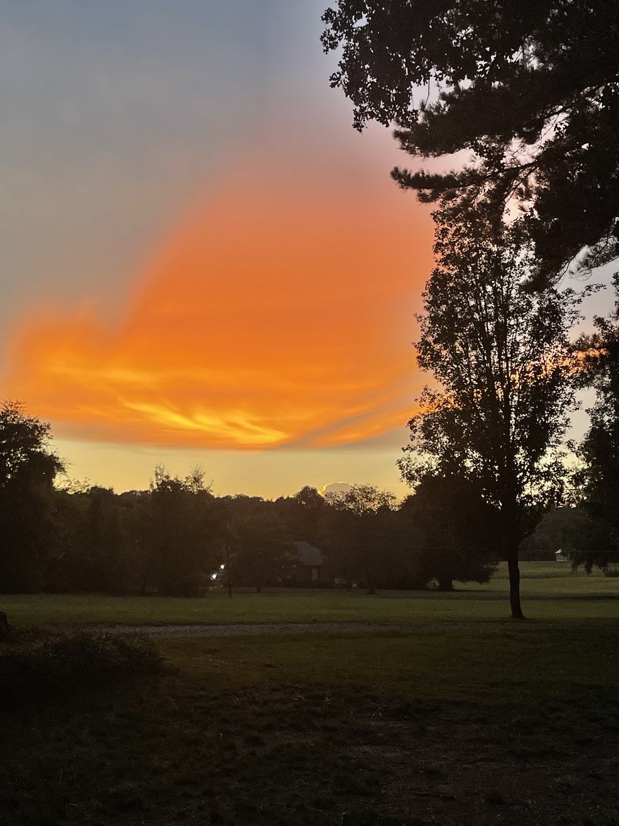 LBrumbe's tweet image. So much beauty tonight!