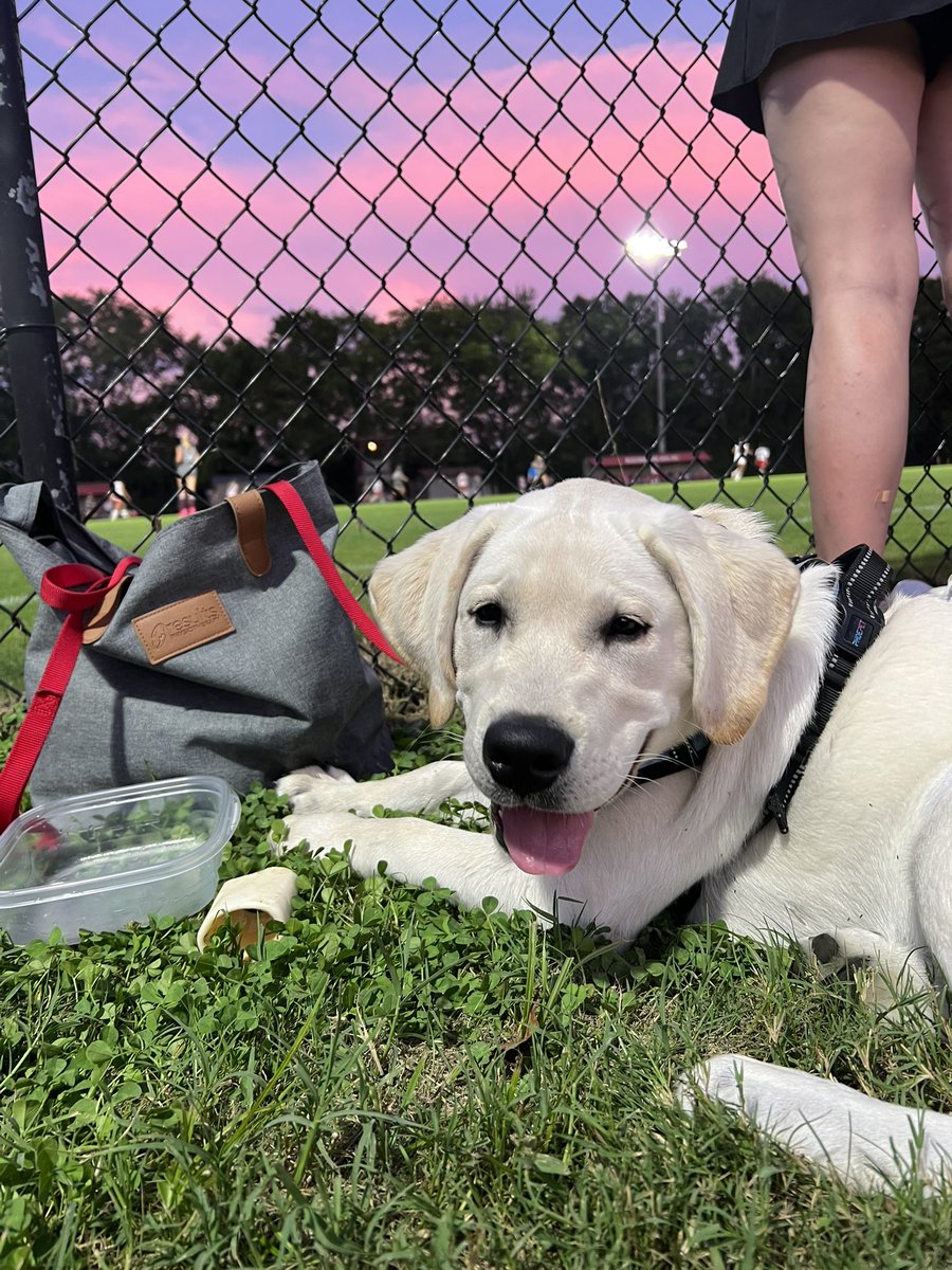 FHS Girls Soccer tweet media