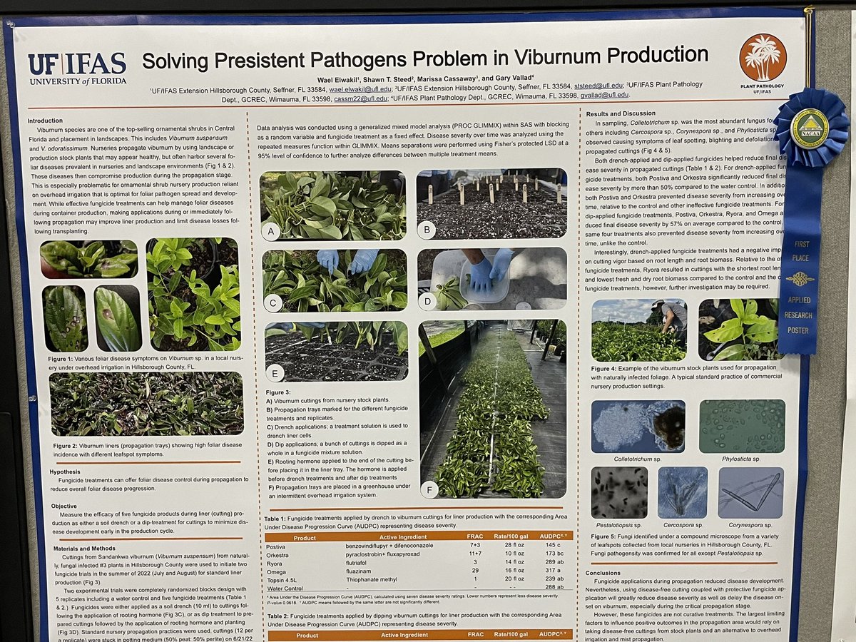 Saqib Mukhtar tweet media