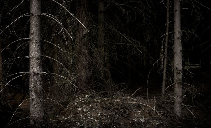 Gods, its so dark and I don't like the way the wind howls through the trees.

I want to come home.