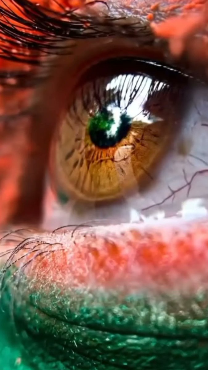 Wish you happy independence day 🎉💥💫