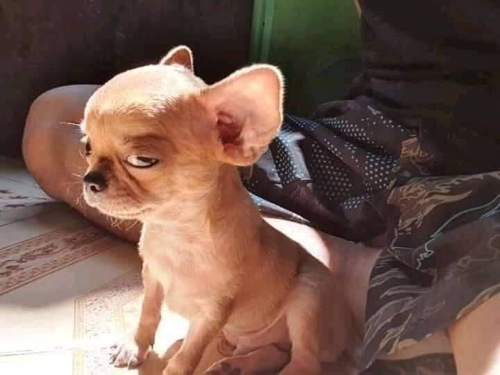 NatureworldX's tweet photo. @twperritos https://t.co/lncSE5QuPS