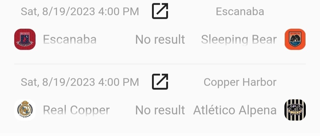 Northern Michigan Faux Football Leagues tweet media
