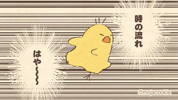 8月もあと半分ほどと知ったヒヨコさん