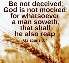 #faith #trust #Jesus