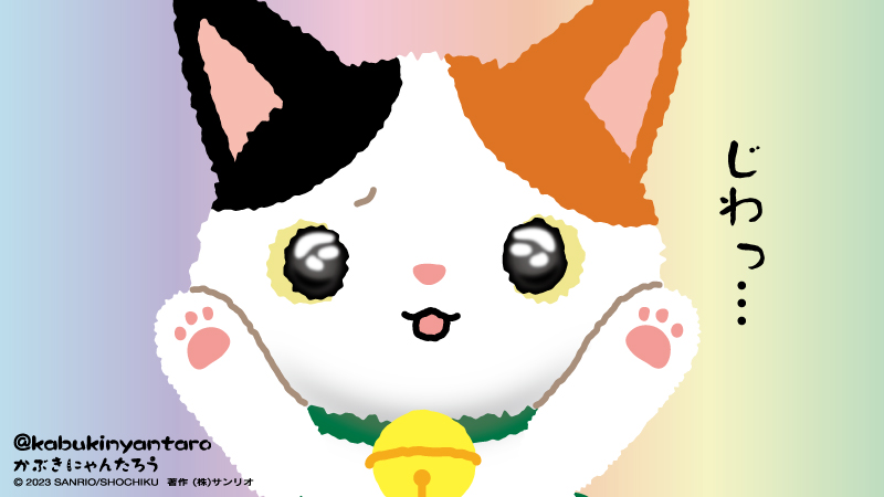 おねえさん、お帰りにゃさい！ ボク、とっても寂しかったにゃん