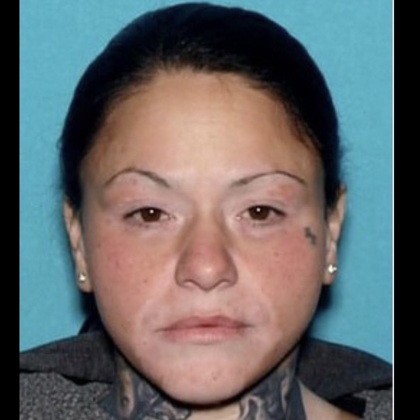 Gilroy Police (@gilroypd) on Twitter photo On 08/10/23, the family of Alyssa Salazar reported her missing. Anyone with information regarding Salazar's whereabouts is asked to contact GPD Det. J Greathead at (408)846-0373 or jason.greathead@cityofgilroy.org. Tips can also be submitted anonymously by calling(408) 846-0330 On 08/10/23, the family of Alyssa Salazar reported her missing. Anyone with information regarding Salazar's whereabouts is asked to contact GPD Det. J Greathead at (408)846-0373 or jason.greathead@cityofgilroy.org. Tips can also be submitted anonymously by calling(408) 846-0330