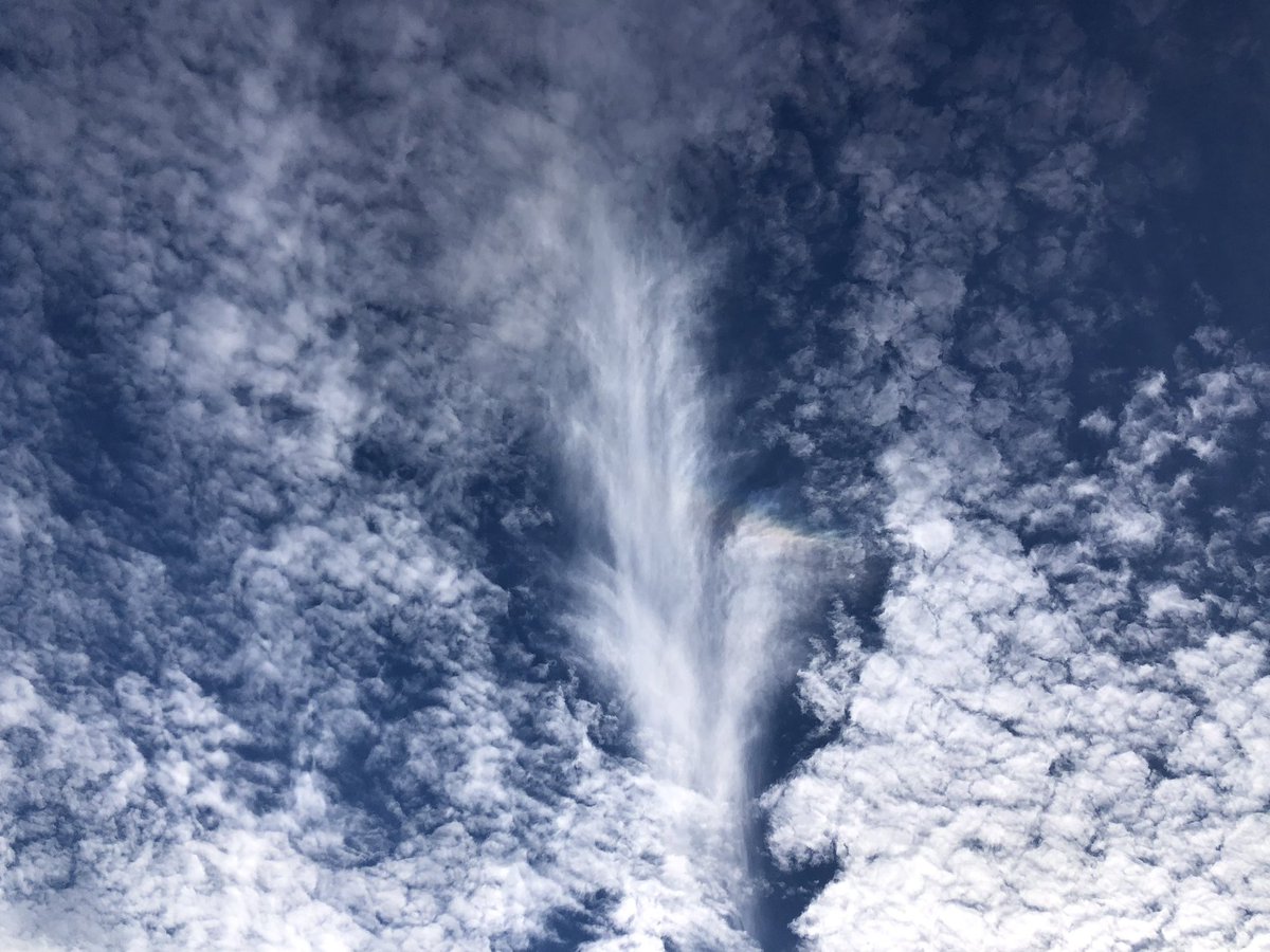 SurfSkiWeather's tweet image. off the charts sunset texture beauty 8/14/23
this is a tiny sample - more in OTD in the AM
#Weymouth #MaineCoonCat #CloudPhysics