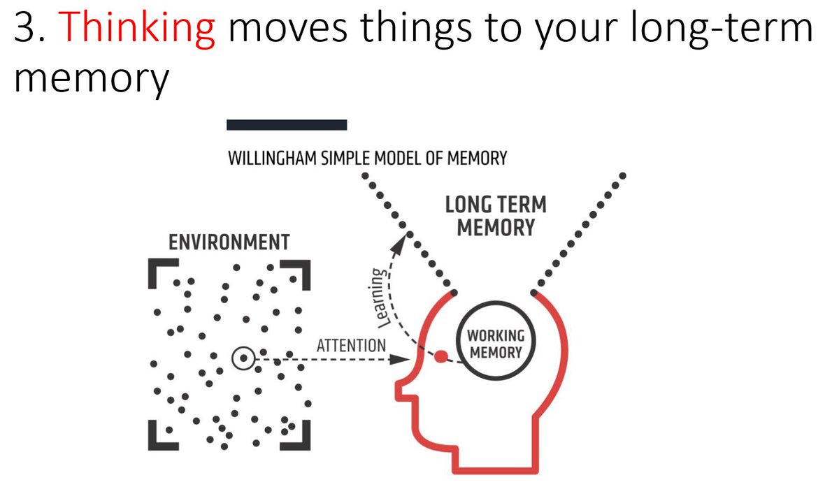 Helen Reynolds MBE tweet media