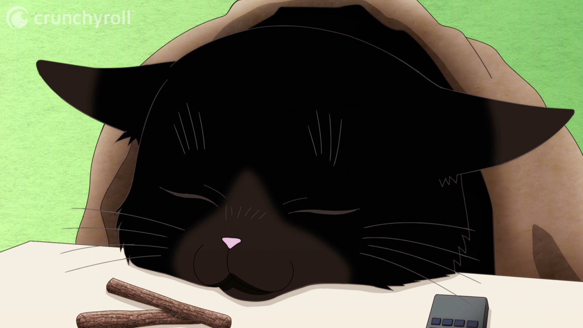 Crunchyroll - Who remembers Black Cat? 👀