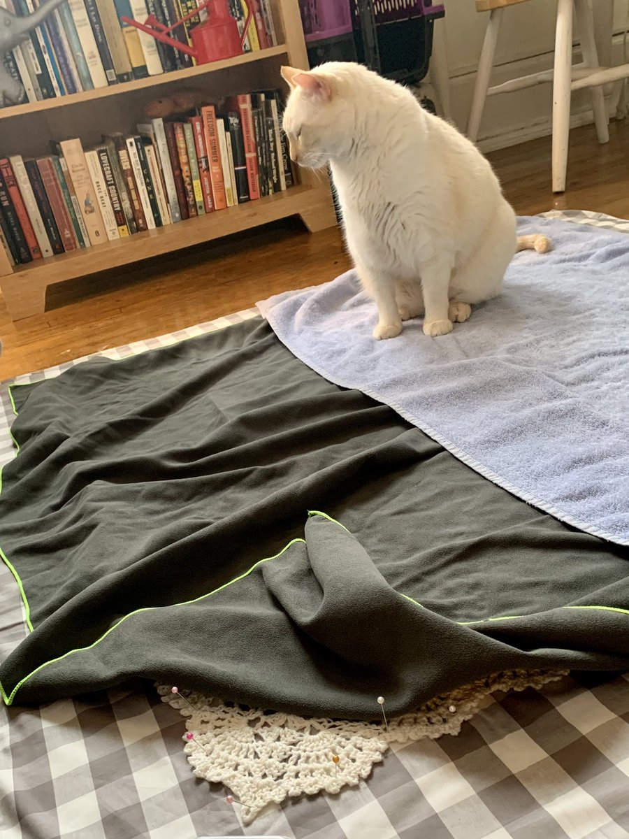2/2 baby blankets completed for 2023—one for each of the gals I got to live with in my teens and early 20s—ably assisted by Tito, whose favorite part was trying to pick out the pins with his teeth. Now: back to bookbinding 🪡🧵📖