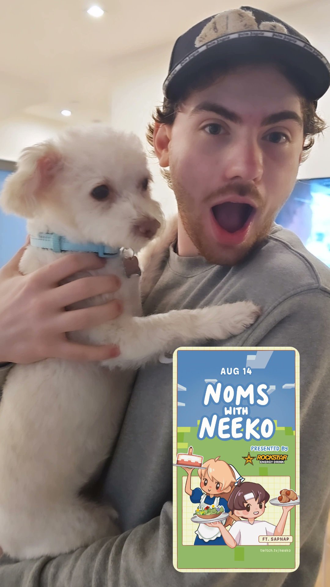 Radio1Neeko Vol. 2 : r/neekolul